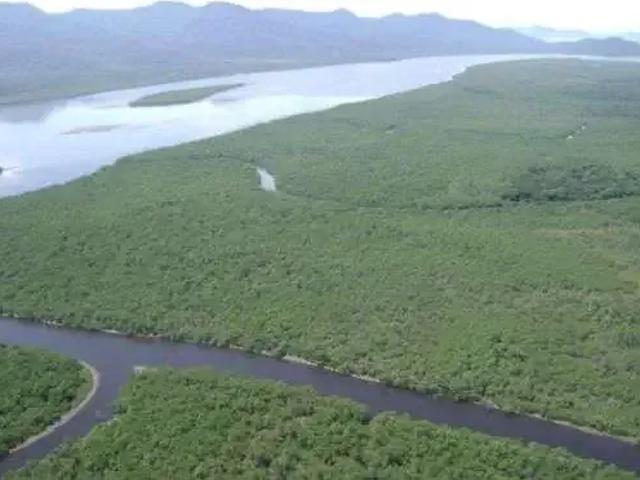Sítio e chácara venda em Região Geográfica Imediata de Joinville, Garuva