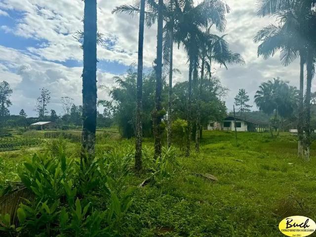 Sítio e chácara venda em Região Geográfica Imediata de Joinville, Garuva