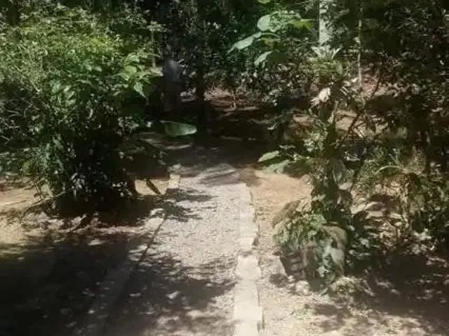 Sítio e chácara venda em Região Geográfica Imediata de Joinville, Garuva