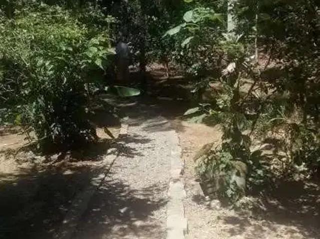 Sítio e chácara venda em Região Geográfica Imediata de Joinville, Garuva