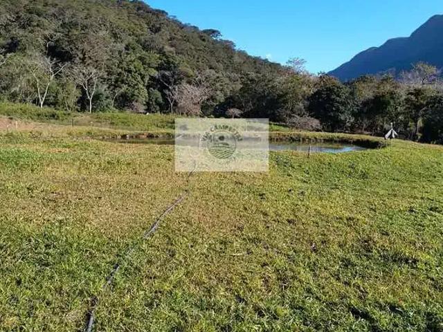 Sítio e chácara venda em Região Geográfica Imediata de Joinville, Joinville