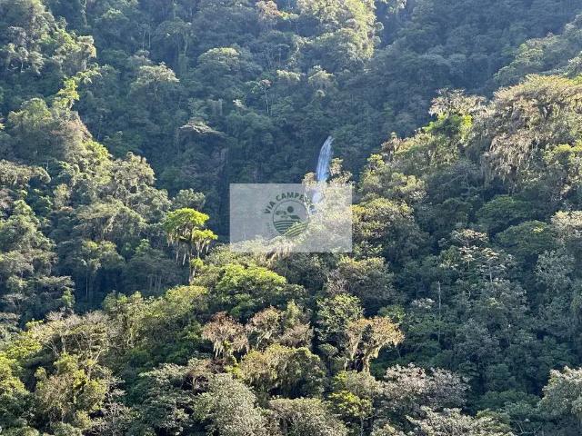 Sítio e chácara venda em Região Geográfica Imediata de Joinville, Garuva