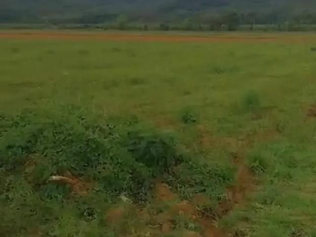 Sítio e chácara venda em Região Geográfica Imediata de Joinville, Garuva