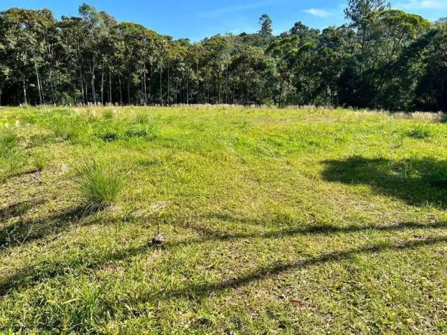 Sítio e chácara venda em Região Geográfica Imediata de Blumenau, Gaspar