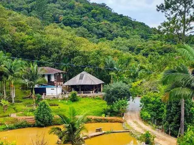 Sítio e chácara venda em Região Geográfica Imediata de Blumenau, Gaspar