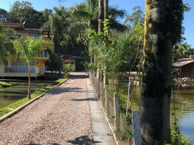 Sítio e chácara venda em Região Geográfica Imediata de Blumenau, Gaspar