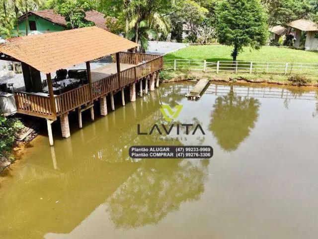 Sítio e chácara venda em Região Geográfica Imediata de Blumenau, Gaspar