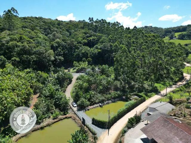 Sítio e chácara venda em Região Geográfica Imediata de Blumenau, Gaspar