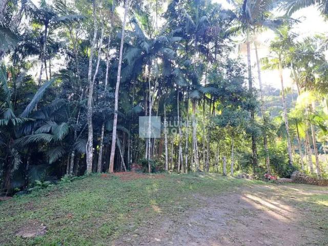Sítio e chácara venda em Região Geográfica Imediata de Blumenau, Gaspar