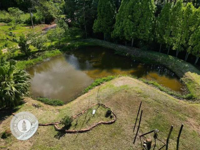 Sítio e chácara venda em Região Geográfica Imediata de Blumenau, Gaspar