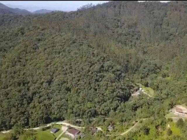 Sítio e chácara venda em Região Geográfica Imediata de Blumenau, Gaspar