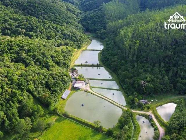 Sítio e chácara venda em Região Geográfica Imediata de Blumenau, Gaspar