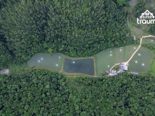 Sítio e chácara venda em Região Geográfica Imediata de Blumenau, Gaspar