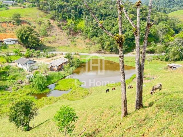 Sítio e chácara venda em Região Geográfica Imediata de Blumenau, Gaspar