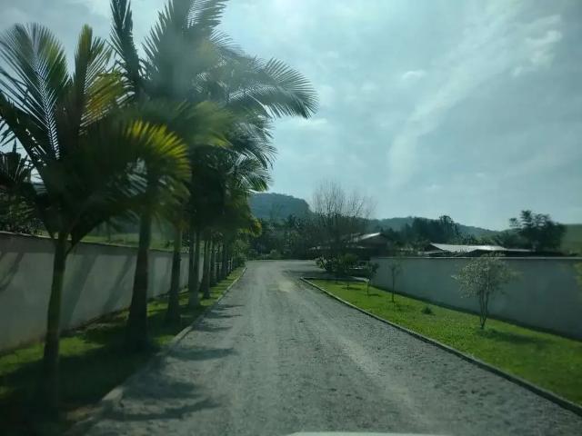 Sítio e chácara venda em Região Geográfica Imediata de Blumenau, Gaspar