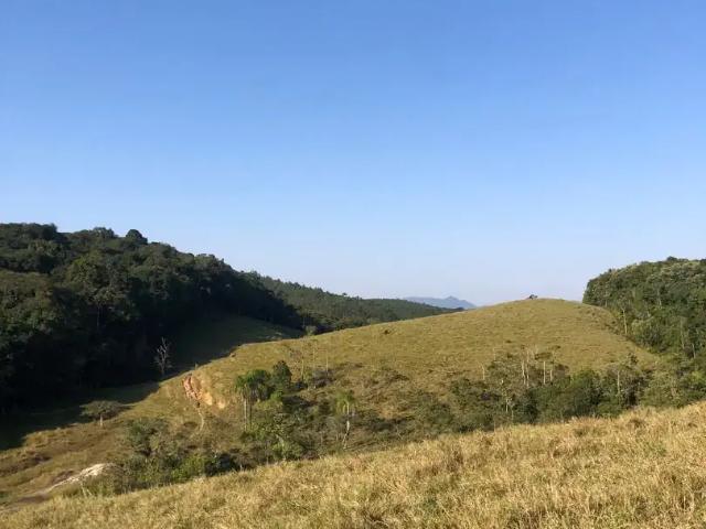 Sítio e chácara venda em Região Geográfica Imediata de Blumenau, Gaspar