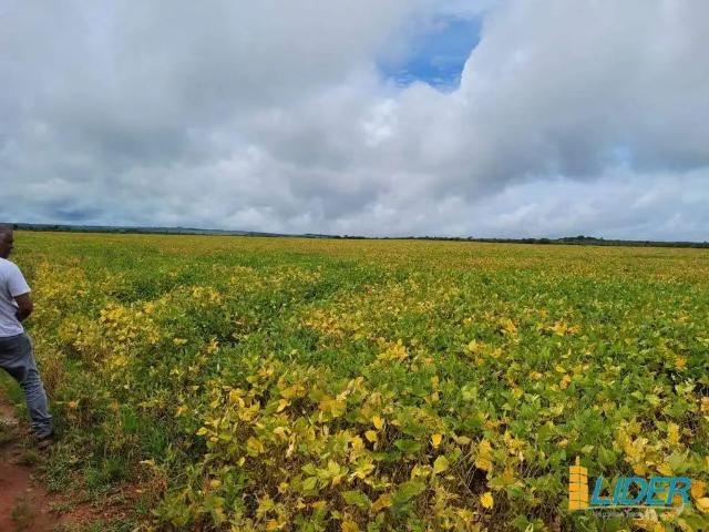 Sítio e chácara venda em Região Geográfica Imediata de Água Boa, Gaúcha do Norte