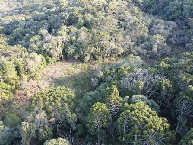 Sítio e chácara venda em Região Geográfica Imediata de União da Vitória, General Carneiro