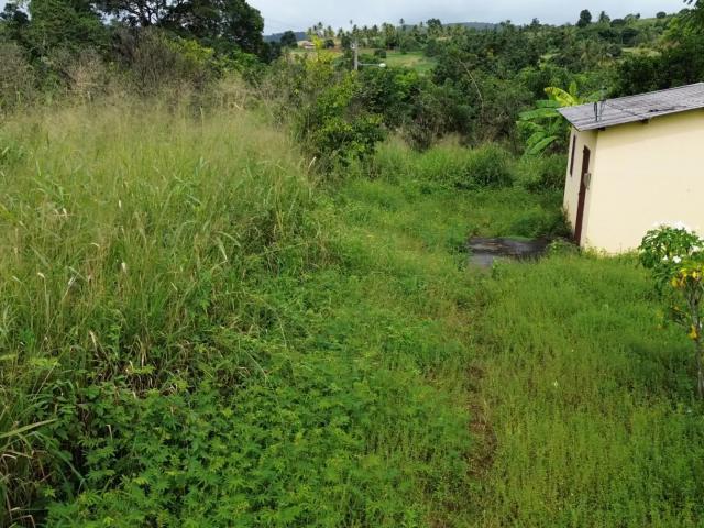 Sítio e chácara venda em Região Geográfica Imediata de Vitória de Santo Antão, Glória do Goita
