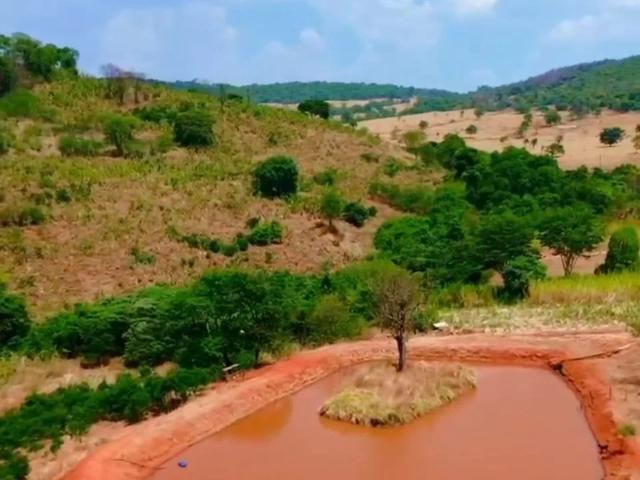 Sítio e chácara venda em Goianésia, Região Geográfica Intermediária de Porangatu-Uruaçu