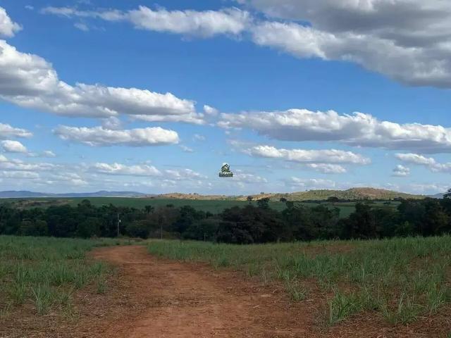 Sítio e chácara venda em Região Geográfica Imediata de Ceres - Rialma - Goianésia, Goianésia