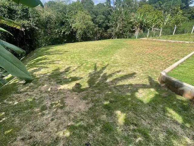 Sítio e chácara venda em Região Geográfica Imediata de Goiânia, Goiânia