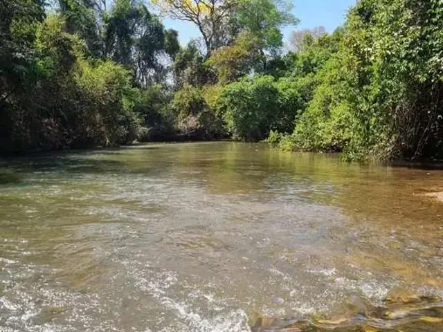 Sítio e chácara venda em Região Geográfica Imediata de Goiânia, Goiânia