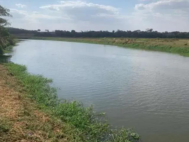Sítio e chácara venda em Região Geográfica Imediata de Goiânia, Goiânia