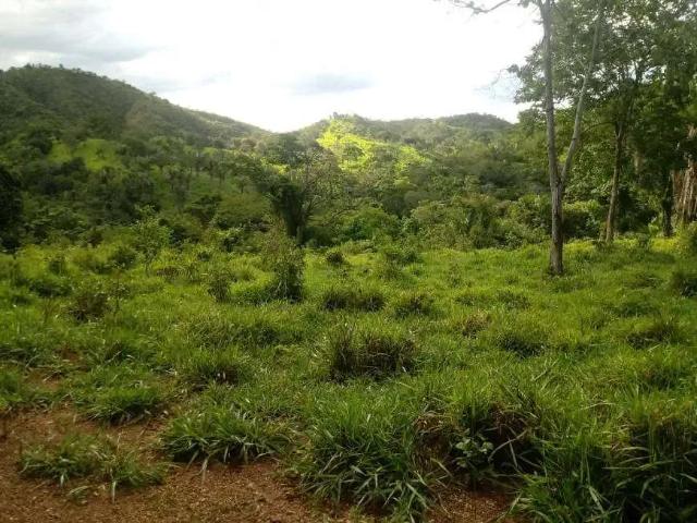 Sítio e chácara venda em Região Geográfica Imediata de Goiânia, Aparecida de Goiânia