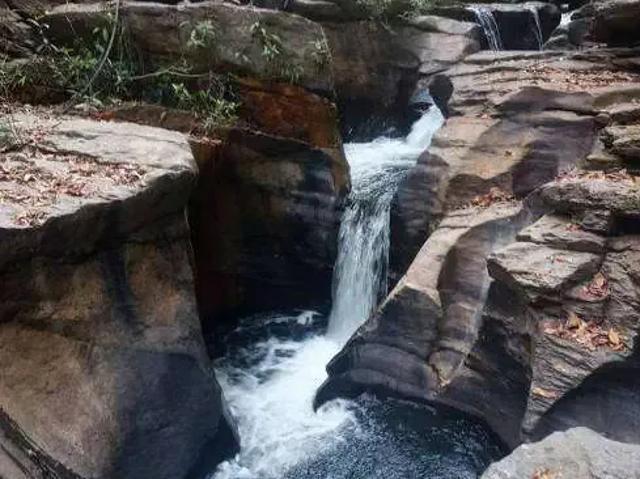Sítio e chácara venda em Região Geográfica Imediata de Goiânia, Aparecida de Goiânia