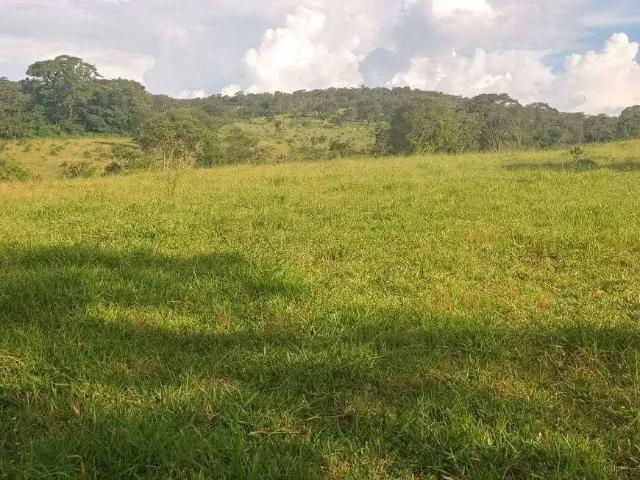 Sítio e chácara venda em Região Geográfica Imediata de Goiânia, Aparecida de Goiânia