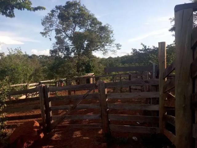 Sítio e chácara venda em Região Geográfica Imediata de Goiânia, Aparecida de Goiânia
