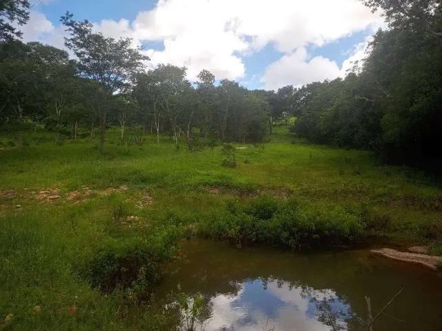 Sítio e chácara venda em Região Geográfica Imediata de Goiânia, Aparecida de Goiânia