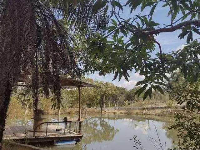 Sítio e chácara venda em Região Geográfica Imediata de Goiânia, Aparecida de Goiânia