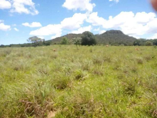 Sítio e chácara venda em Região Geográfica Imediata de Goiânia, Aparecida de Goiânia