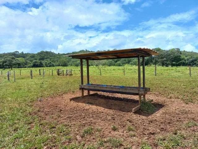 Sítio e chácara venda em Região Geográfica Imediata de Goiânia, Aparecida de Goiânia