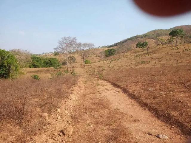 Sítio e chácara venda em Região Geográfica Imediata de Goiânia, Aparecida de Goiânia