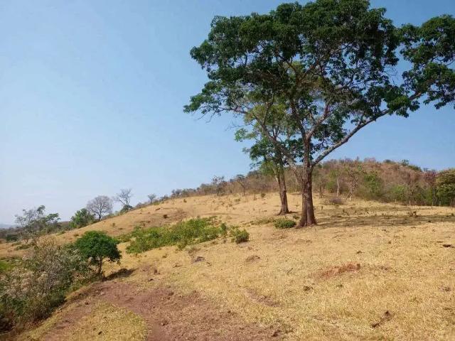 Sítio e chácara venda em Região Geográfica Imediata de Goiânia, Aparecida de Goiânia