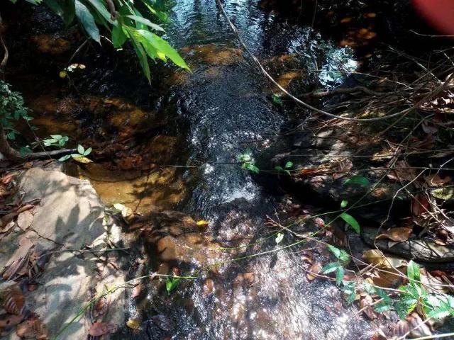Sítio e chácara venda em Região Geográfica Imediata de Goiânia, Aparecida de Goiânia
