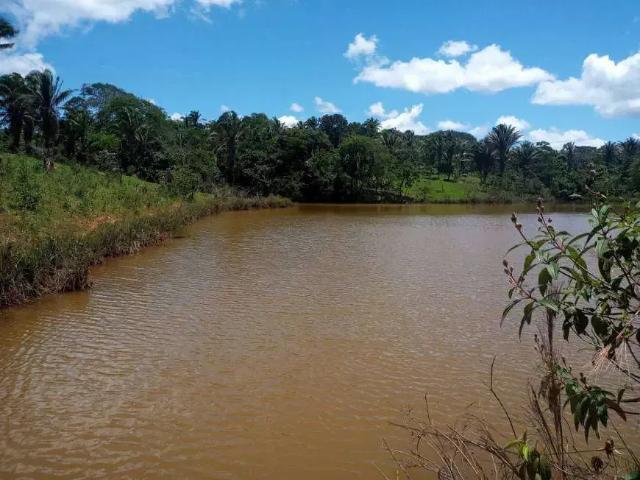 Sítio e chácara venda em Região Geográfica Imediata de Goiânia, Aparecida de Goiânia