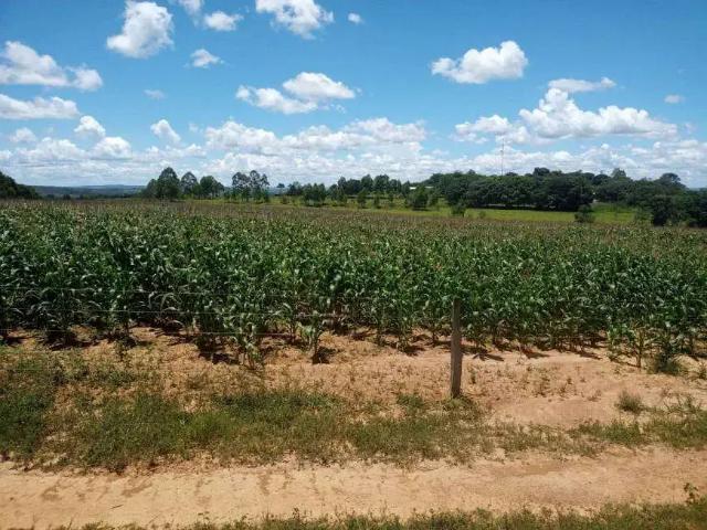 Sítio e chácara venda em Região Geográfica Imediata de Goiânia, Aparecida de Goiânia