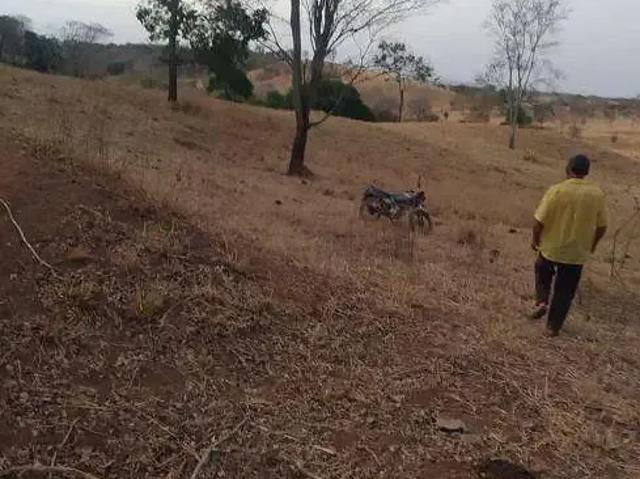 Sítio e chácara venda em Região Geográfica Imediata de Goiânia, Aparecida de Goiânia
