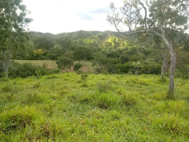 Sítio e chácara venda em Região Geográfica Imediata de Goiânia, Aparecida de Goiânia