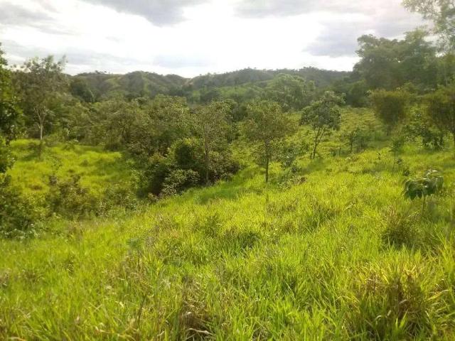 Sítio e chácara venda em Região Geográfica Imediata de Goiânia, Aparecida de Goiânia