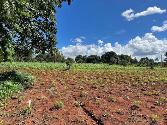 Sítio e chácara venda em Região Geográfica Imediata de Goiânia, Goiânia