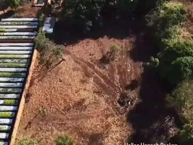 Sítio e chácara venda em Região Geográfica Imediata de Goiânia, Goiânia