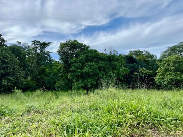 Sítio e chácara venda em Região Geográfica Imediata de Goiânia, Goiânia