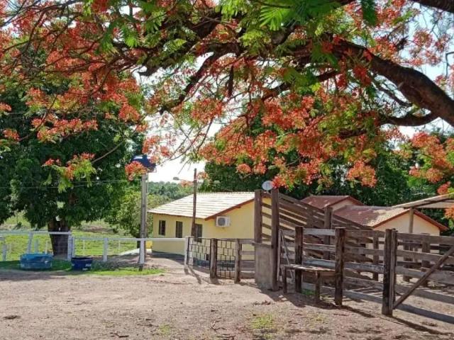Sítio e chácara venda em Setor Castelo Branco, Goiânia