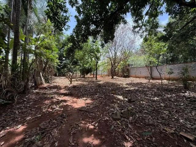 Sítio e chácara venda em Região Geográfica Imediata de Goiânia, Goiânia