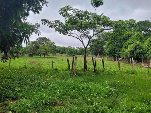 Sítio e chácara venda em Região Geográfica Imediata de Goiânia, Goiânia